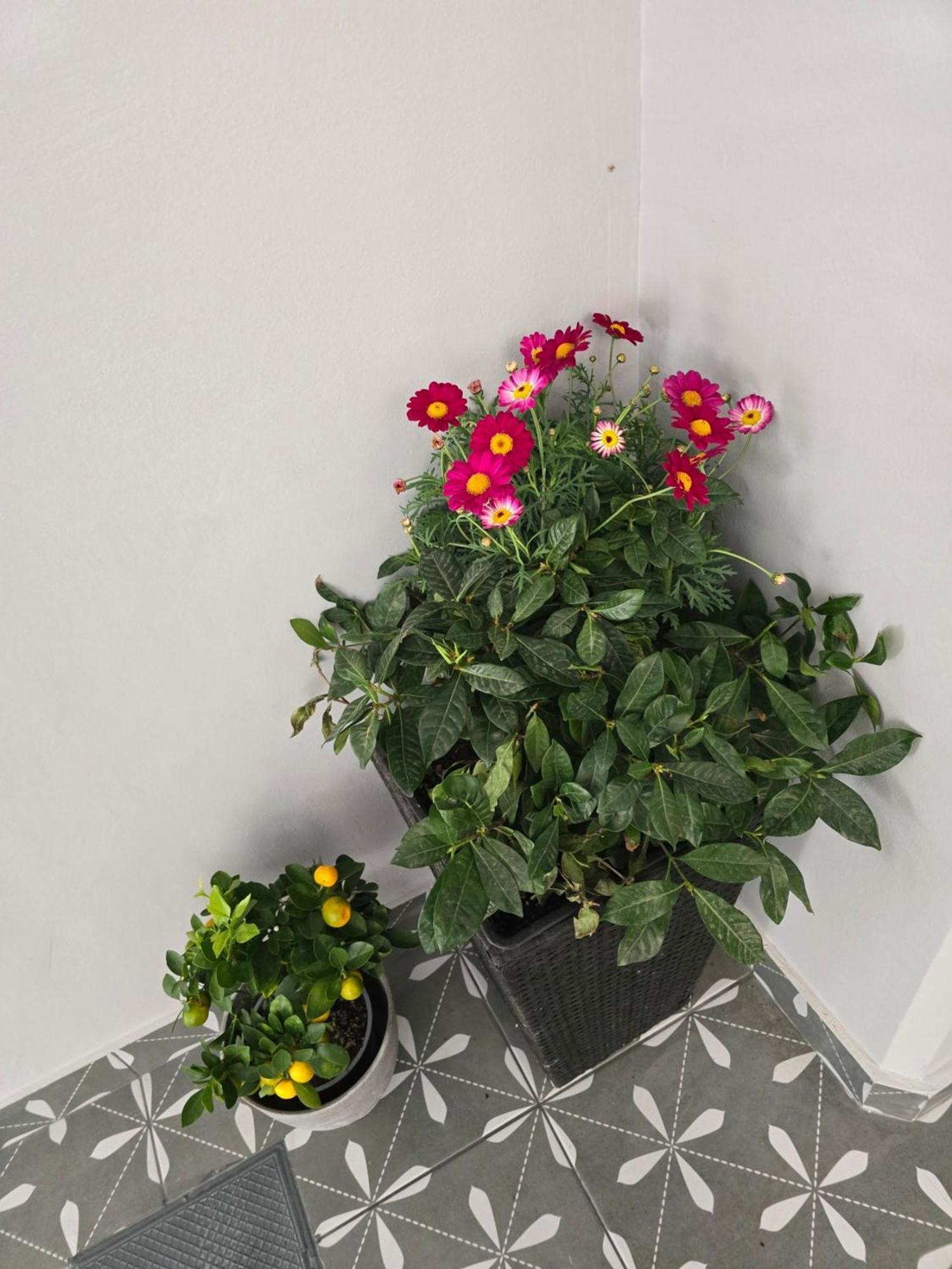 Glyfada'S Cosy Apartments Athens Exterior photo